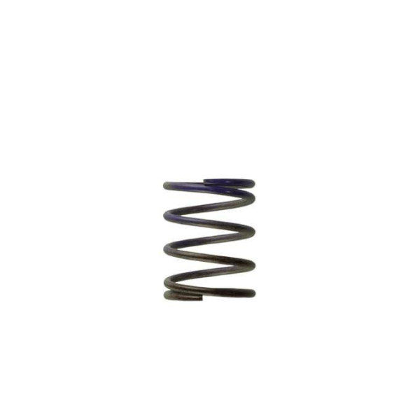 Turbosmart 0.5 Bar Wastegate Spring for 38/40/45mm Valves