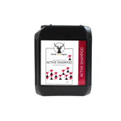 Daniel Washington Active Shampoo 5L - Deep Cleansing Formula