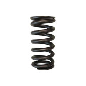Brian Crower BC1350 Valve Springs for Toyota 2ZZFE