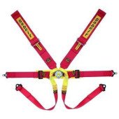 Sabelt Formula Steel 6-Point FIA Racing Seat Belts - CCS632F