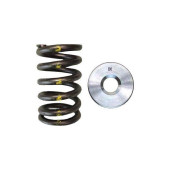 Brian Crower TB48 Single Spring & Titanium Retainer Kit