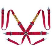 Sabelt Saloon Silver 6-Point FIA Racing Seat Belts CCA653S