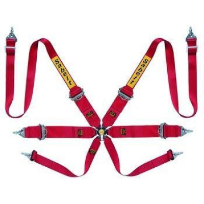 Sabelt Saloon Silver 6-Point FIA Racing Seat Belts CCA653S