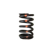 Brian Crower BC1230 Single Valve Springs for Nissan RB26