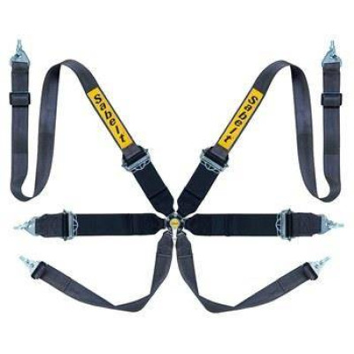 Sabelt Saloon Gold 6-Point Racing Seat Belts FIA Certified