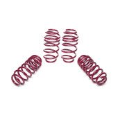 Vogtland Lowering Springs Audi A3 30/30 - Performance Upgrade 950037