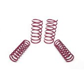 Vogtland Lowering Springs BMW 5er E34 40/20 - 951024