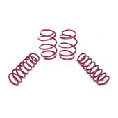 Vogtland Lowering Springs BMW 5er E39 30/30 - 951027
