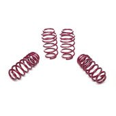 VW Passat Vogtland Lowering Springs 30/30 - 956073