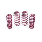 Vogtland Lowering Springs for Seat Toledo - 50/30 Drop - 951387