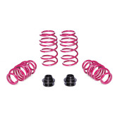 VW Golf VIII GTI Coilover Springs 30/15-40 - 930009