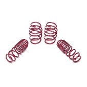 VW Golf VIII GTI / GTD / R Lowering Springs 25 / 25 - 956151