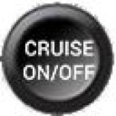 Insert button 15mm S012 Ecumaster