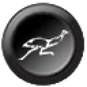 Insert button 15mm S002 Ecumaster