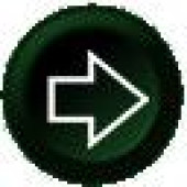 Insert button 15mm B855 green Ecumaster