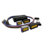 Ford Focus Mk2 RSST Interconnector for EMU BLACK with harness Ecumaster