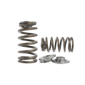 Spring Set Beehive and Titanium Retainers for Subaru EJ20 EJ25