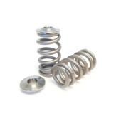 Spring Set Beehive and Titanium Retainers Kelford Cams for Ford 2.3L EcoBoost