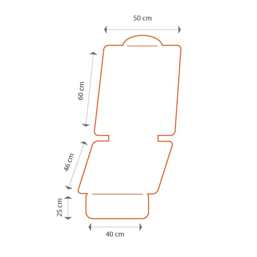 CarPassion Child Seat Protective Mat