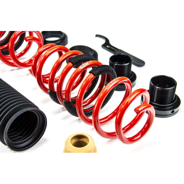 Adjustable Springs for Cupra, Seat, Skoda & Volkswagen - LEON, OCTAVIA IV, GOLF VIII - MTSALSVW06