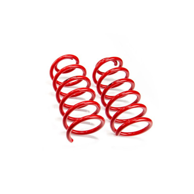 Rear Lowering Springs for Audi 80 B2, 90 B2 & COUPE B2 (81/85) - MTSXAU017HA