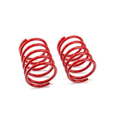 Front Lowering Springs for Audi 80 B2, 90 B2 & COUPE B2 (81/85) - MTSXAU017VA