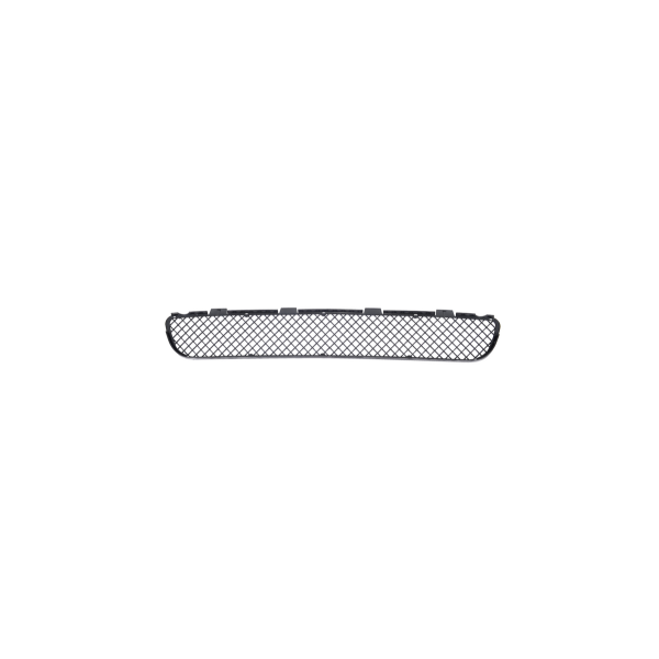 Mesh BMW 5 E39 Front Bumper