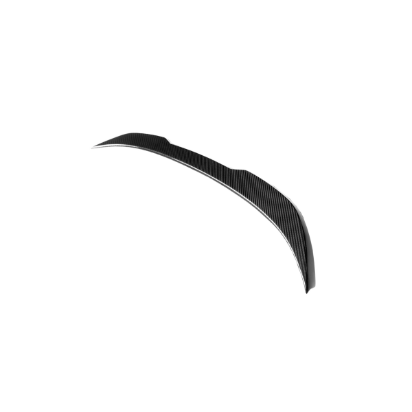 Spoiler BMW 5 G30 F90 Lip Carbon