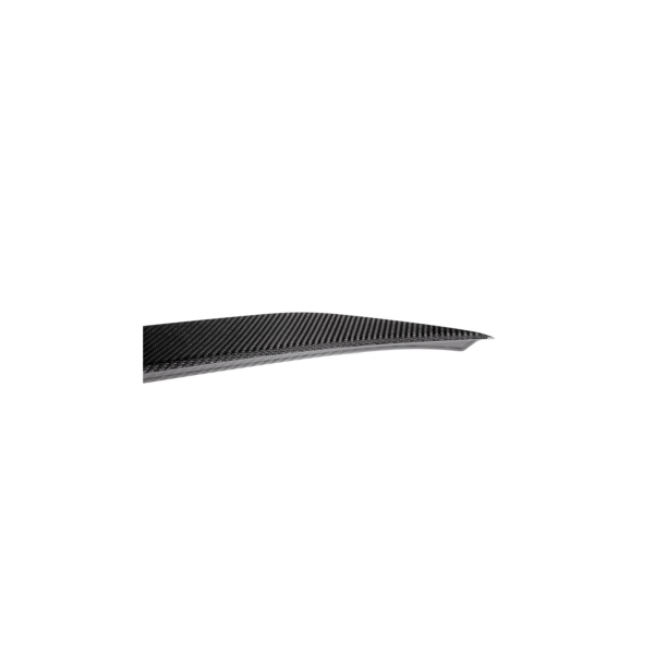 Spoiler BMW 5 G30 F90 Lip Carbon