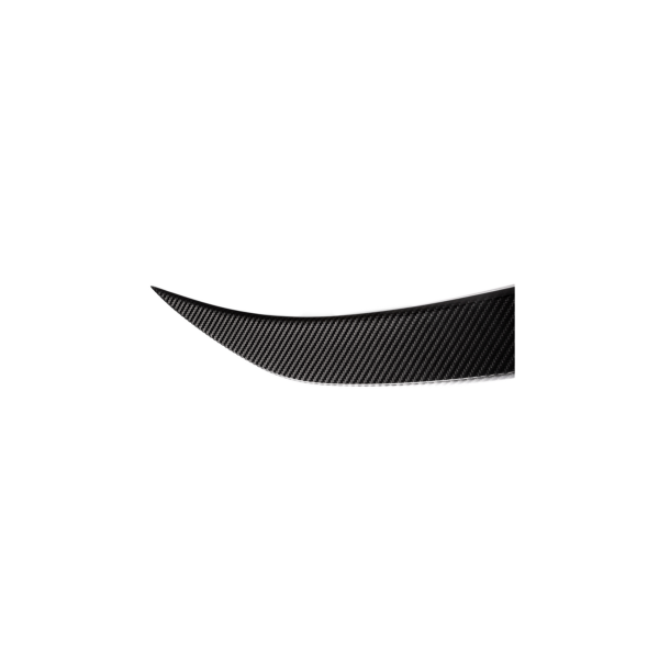 Spoiler BMW 5 G30 F90 Lip Carbon