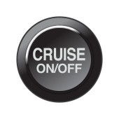 Link CAN Keypad Insert - Cruise Control On/Off