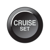 CAN Keypad Insert - Cruise Set/Cruise Cancel Button