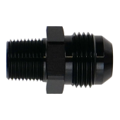 10AN Male Flare to 3/8" NPT Male Adapter