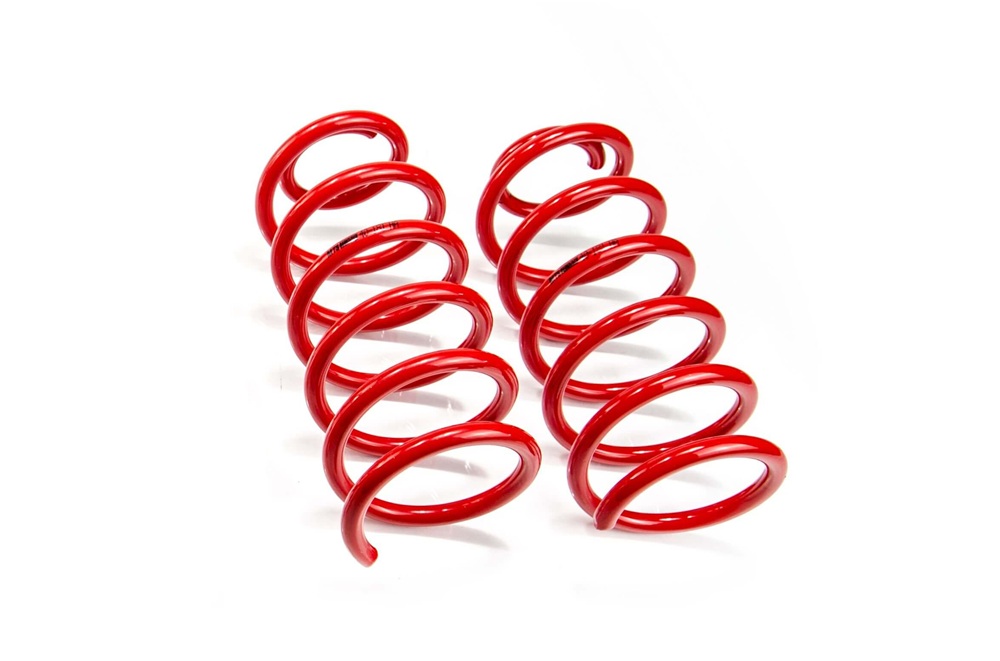 MTS TECHNIK Rear Lowering Springs for